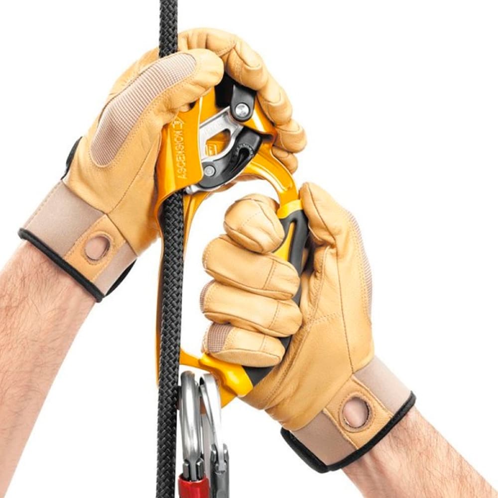 Зажим Petzl ASCENSION